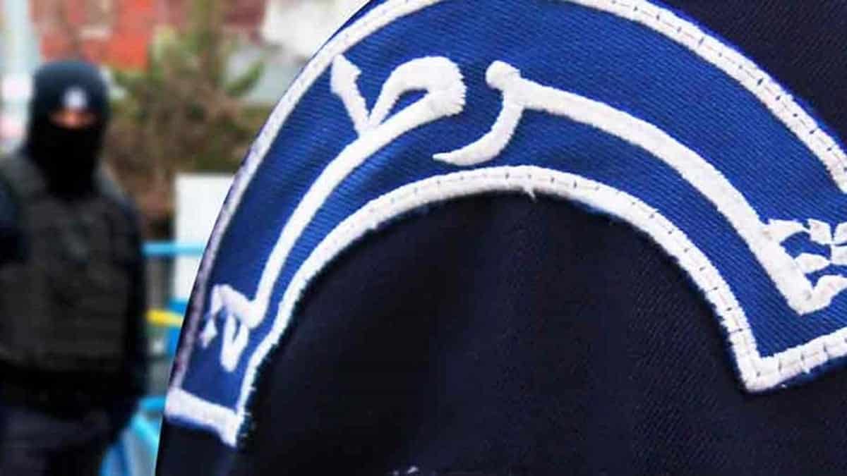 Your alt text description