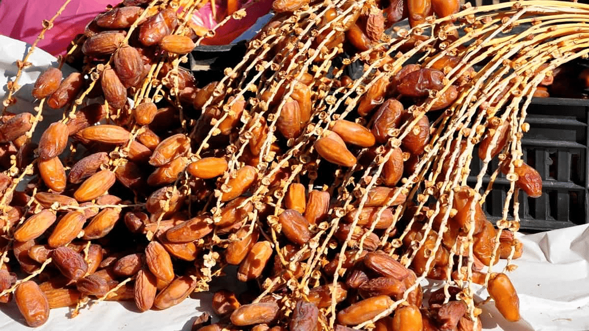خطة الحكومة الوطنية لتحديث وتصدير التمر الجزائري