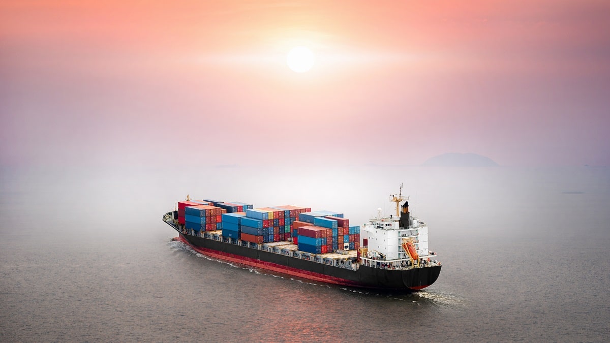 Your alt text description