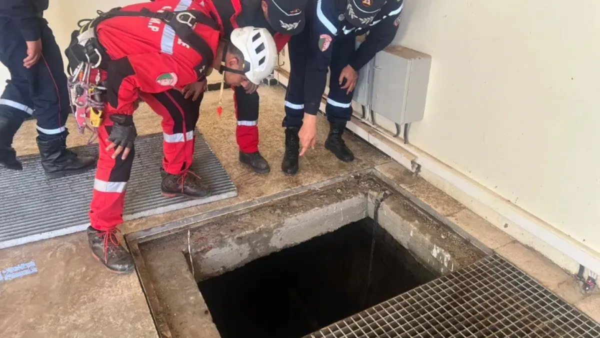 Your alt text description