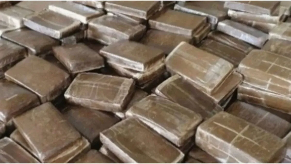 إحباط تهريب 440 كغ كيف معالج عبر الإبل في بشار