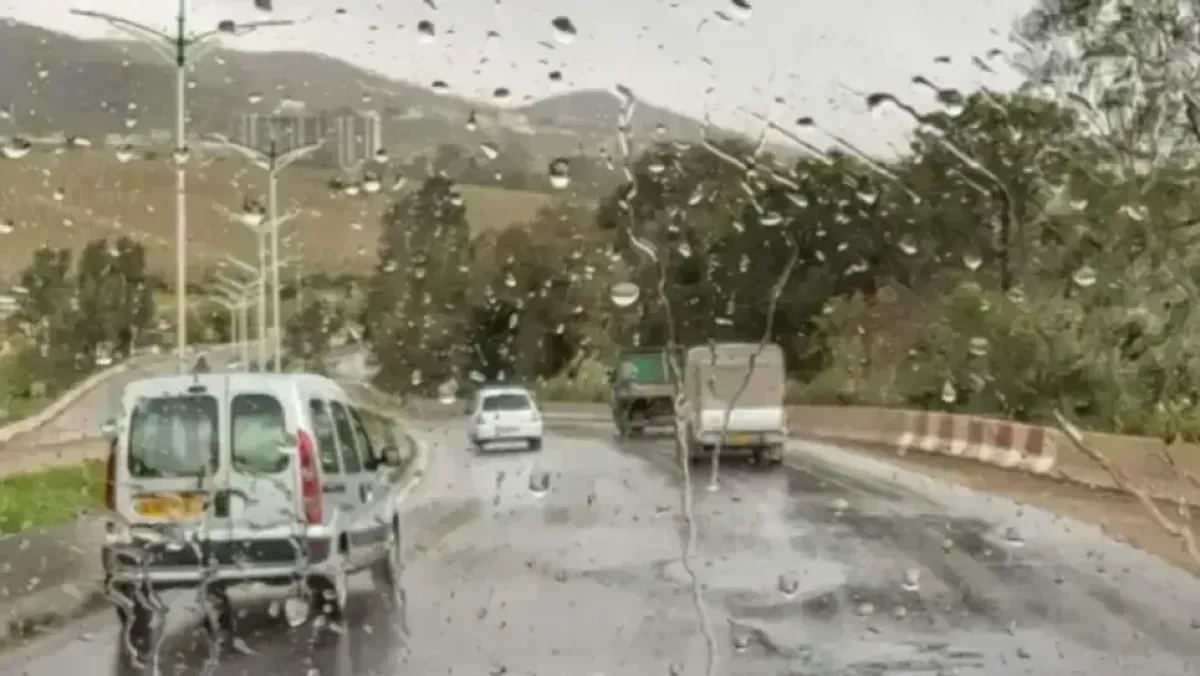 Your alt text description