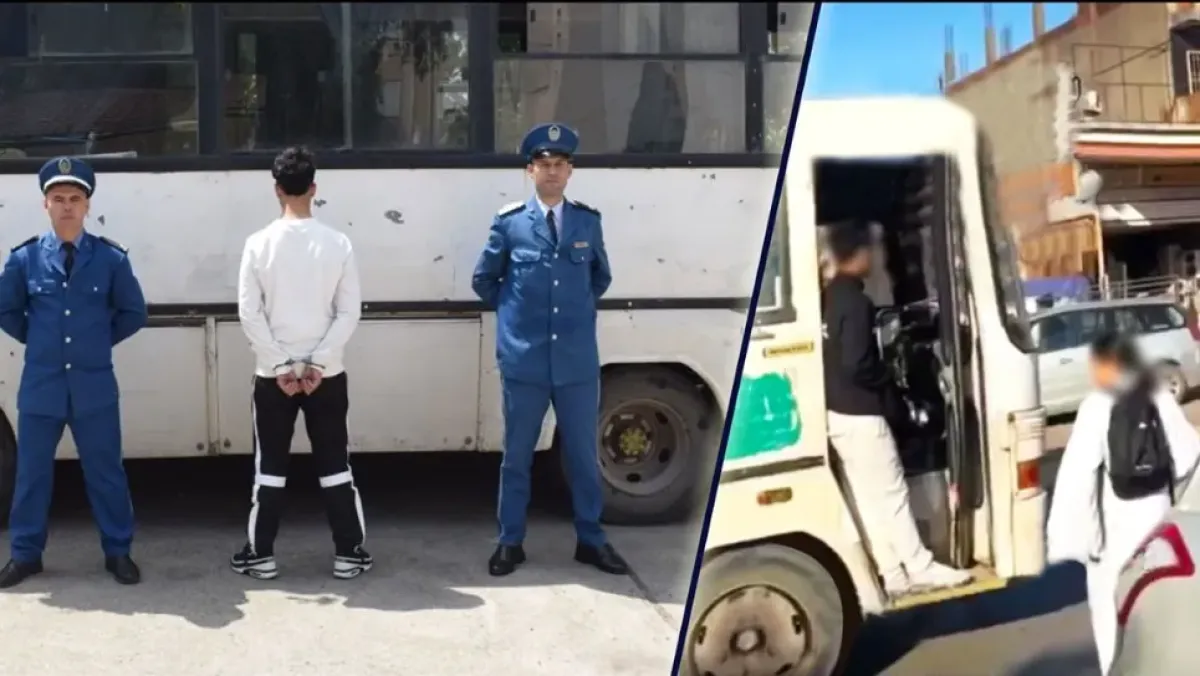 Your alt text description