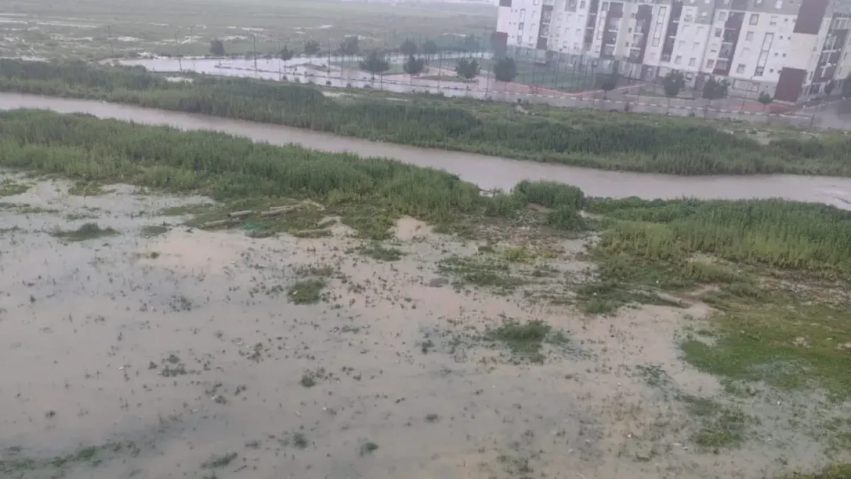 إغلاق 20 مدرسة في ولاية الطارف بسبب الأمطار