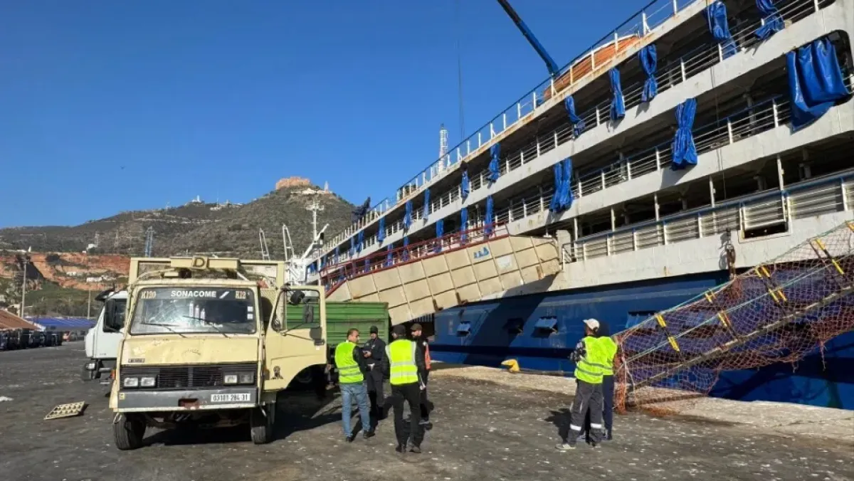 استيراد 17 ألف غنم من رومانيا للعيد في وهران