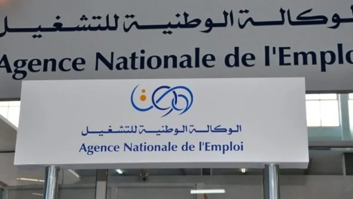 قرار وزاري يحدد شروط تنظيم التكوين لمنحة البطالة