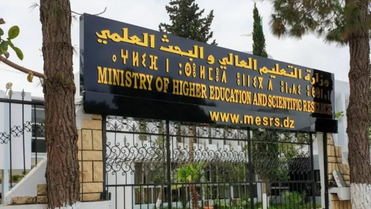 وزارة التعليم العالي تُطلق نصًا تنظيمياً ومنصة رقمية لتحويل الأساتذة