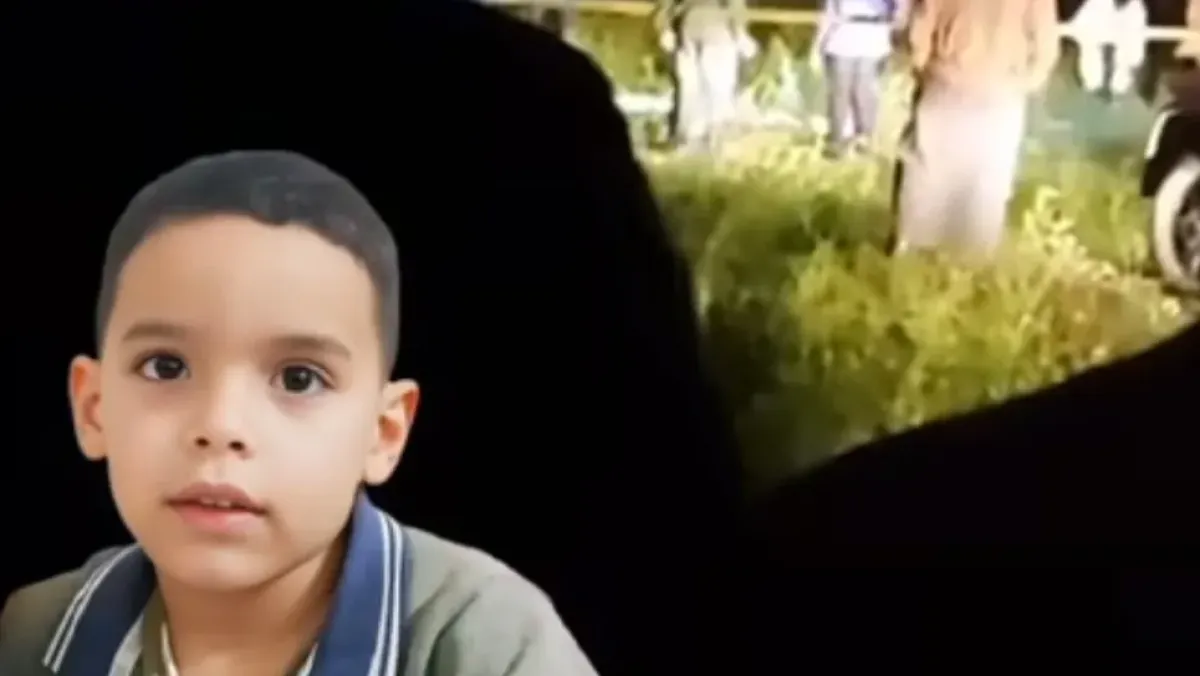 وفاة طفل بخمسة أعوام بهجوم كلاب ضالة في عين معبد