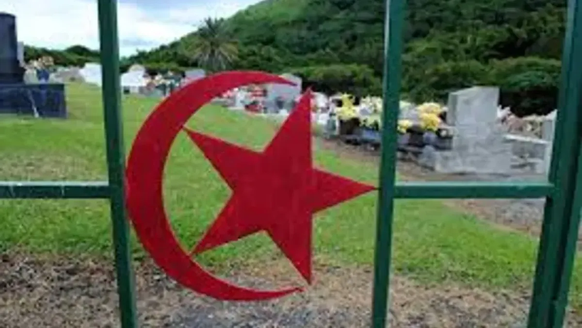 Your alt text description