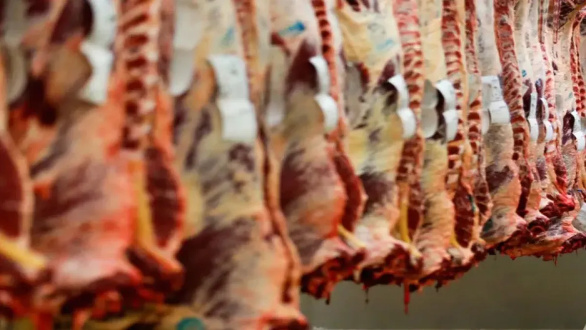 الوزير يوضح ارتفاع أسعار اللحوم وخطة تحسين الزراعة