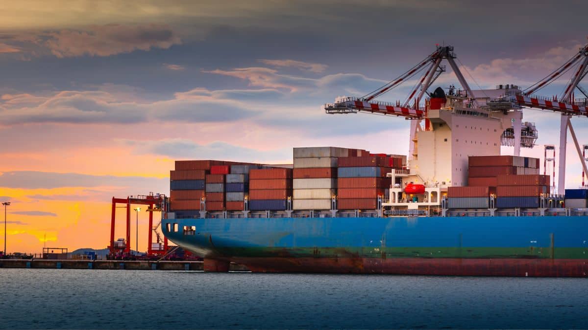 Your alt text description