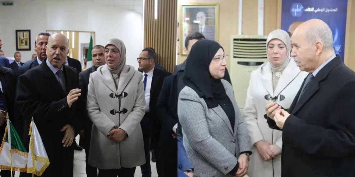 تحسين نظام إعانة البطالة في الجزائر عبر الرقمنة والتدريب