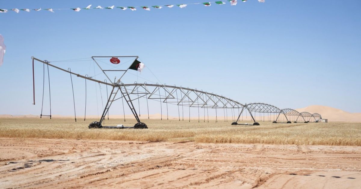 برنامج كهرباء الجنوب الزراعي بتمويل 46,6 مليار دينار