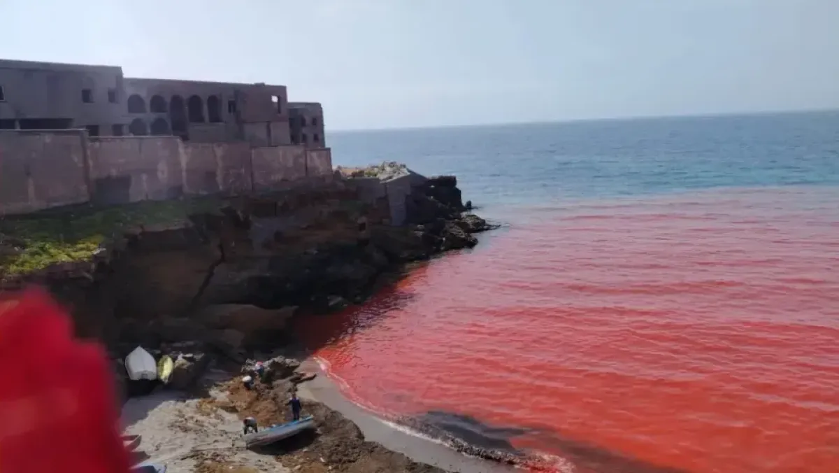 ولاية الجزائر توضح أسباب تلون مياه شاطئ المقبرة باللون الأحمر
