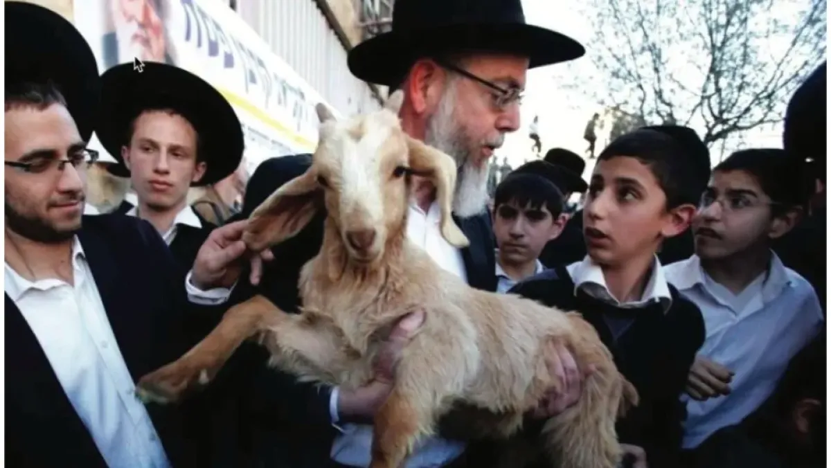 محافظة القدس تحذر من إدخال قرابين حيوانية إلى الأقصى