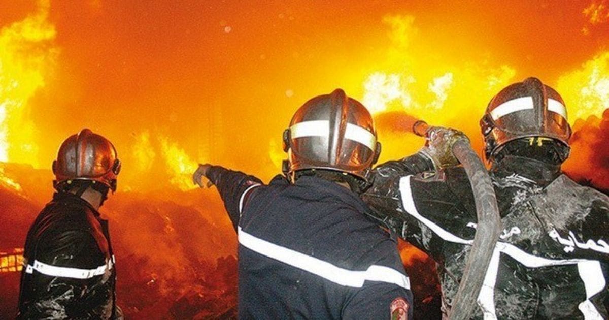 تنسيق ولاة الجزائر للوقاية من حرائق الغابات