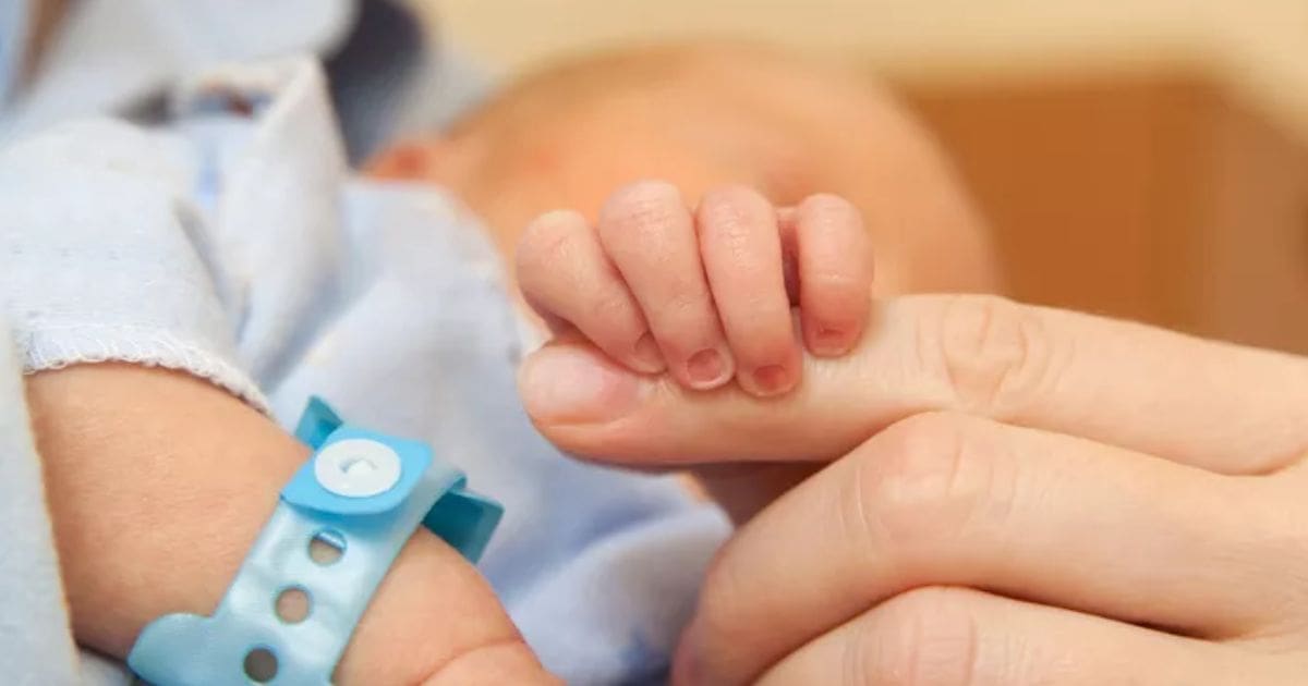 الجزائر تشهد انخفاضاً تاريخياً في معدل المواليد