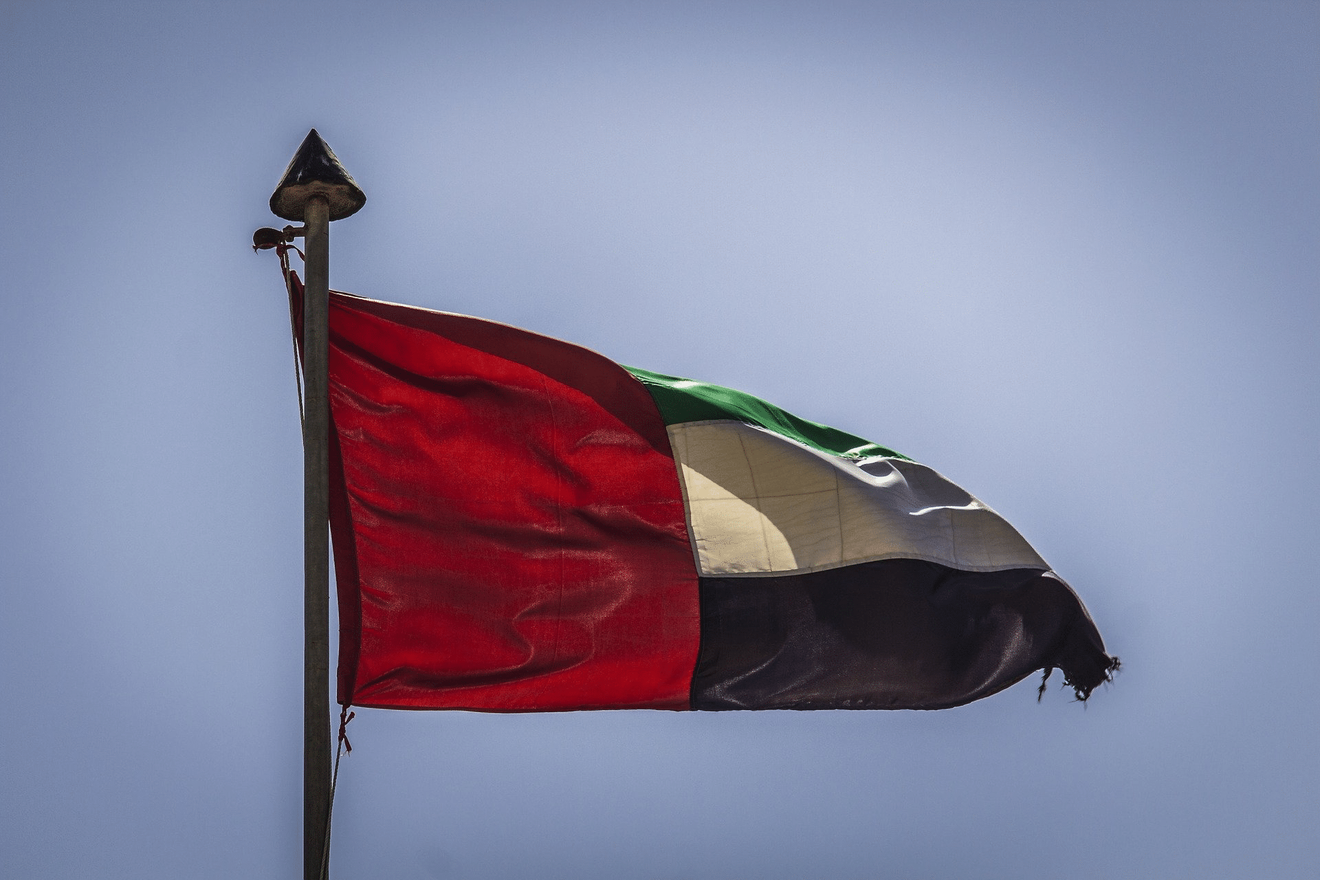 حملة العهد والالتزام في الإمارات: تعهد بالولاء للشيخ محمد