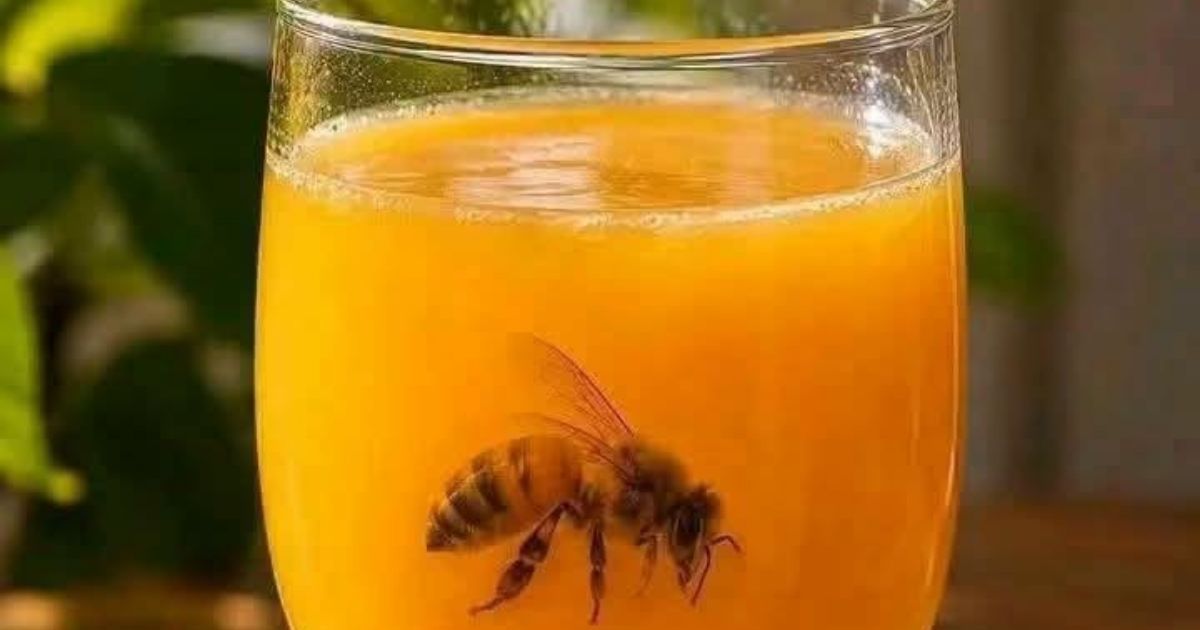 وفاة مراهق بسطيف بعد ابتلاع نحلة في مشروب