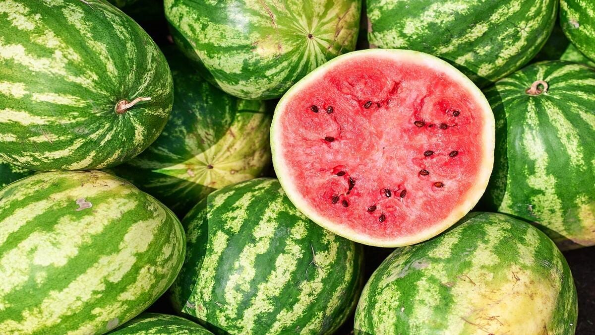 الجزائر تواجه أزمة فائض البطيخ ونقص المياه