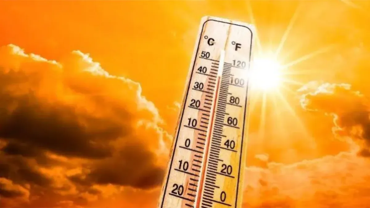 تحذير من موجة حر تصل 48° وتوقع أمطار في الجزائر