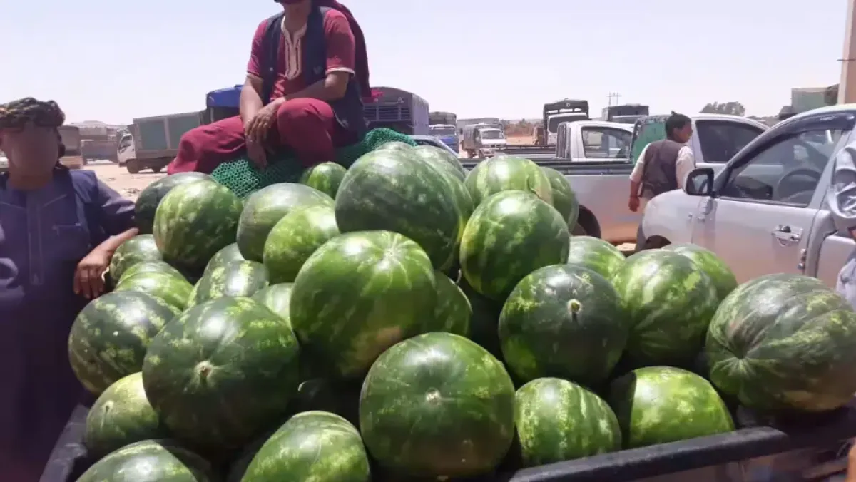 ضبط متهم بنشر أخبار كاذبة عن الدلاع في غليزان