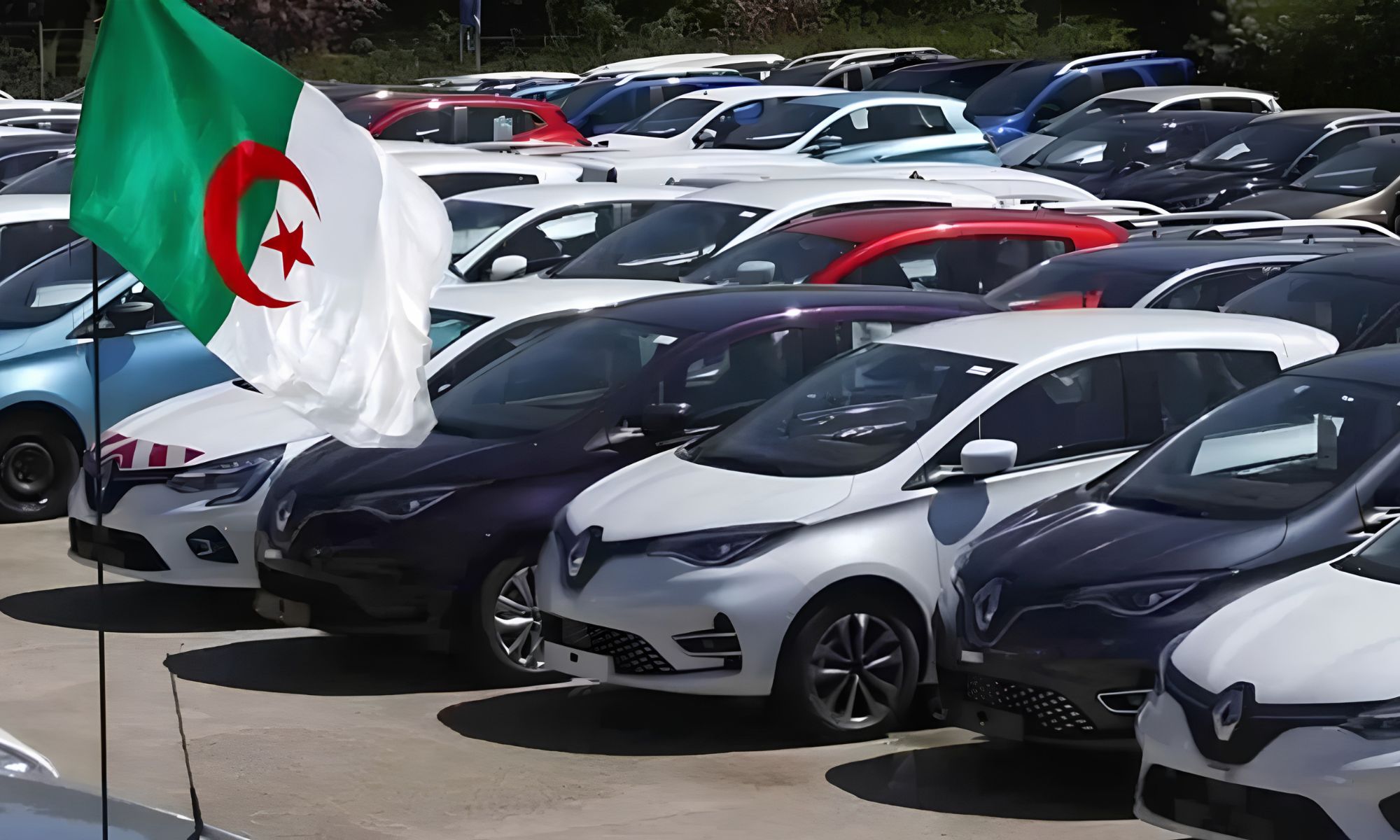 فتح باب التنظيم النهائي للسيارات المستوردة في الجزائر