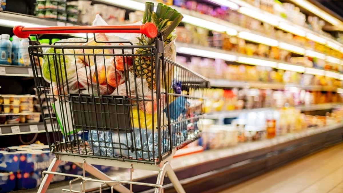 سبع إجراءات حكومية للحد من ارتفاع الأسعار في الجزائر